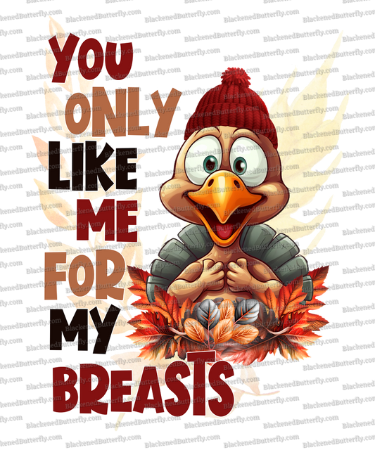 You Only Like Me For My Breast